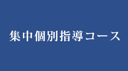 集中個別指導コース